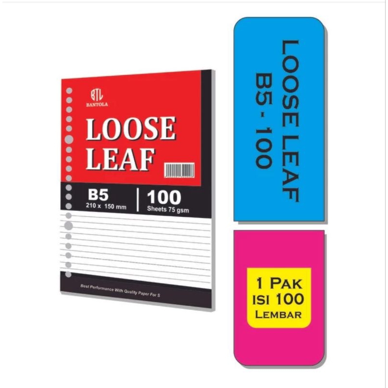 

loose leaf b5 100