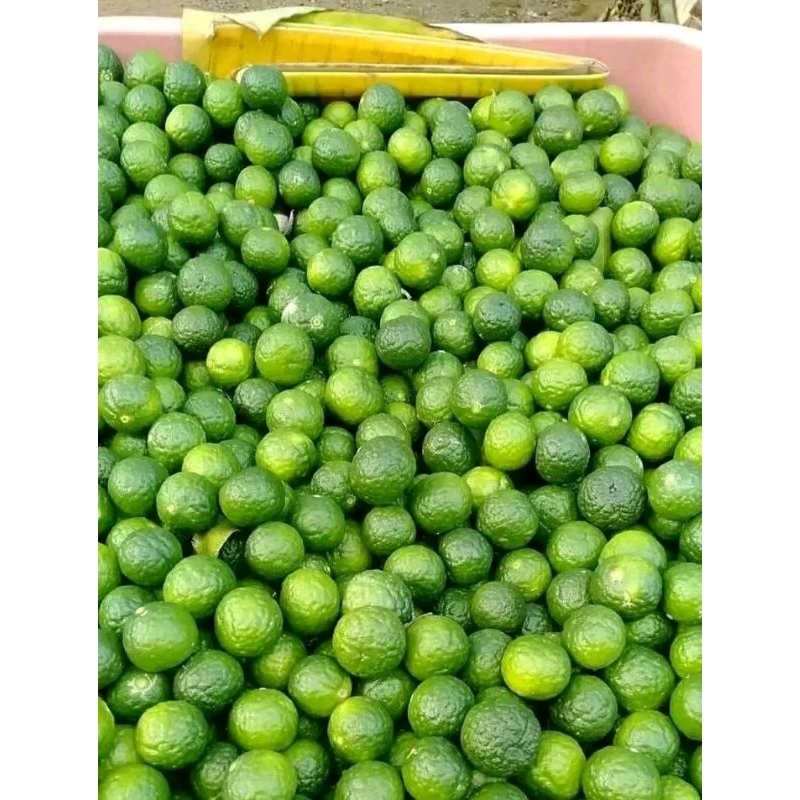 

jeruk Limau Segar 1kg - Jeruk purut