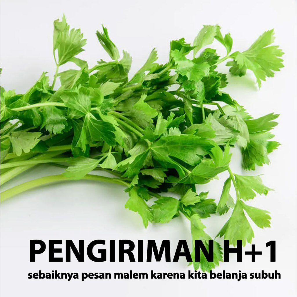 

Seledri Lokal sayuran segar