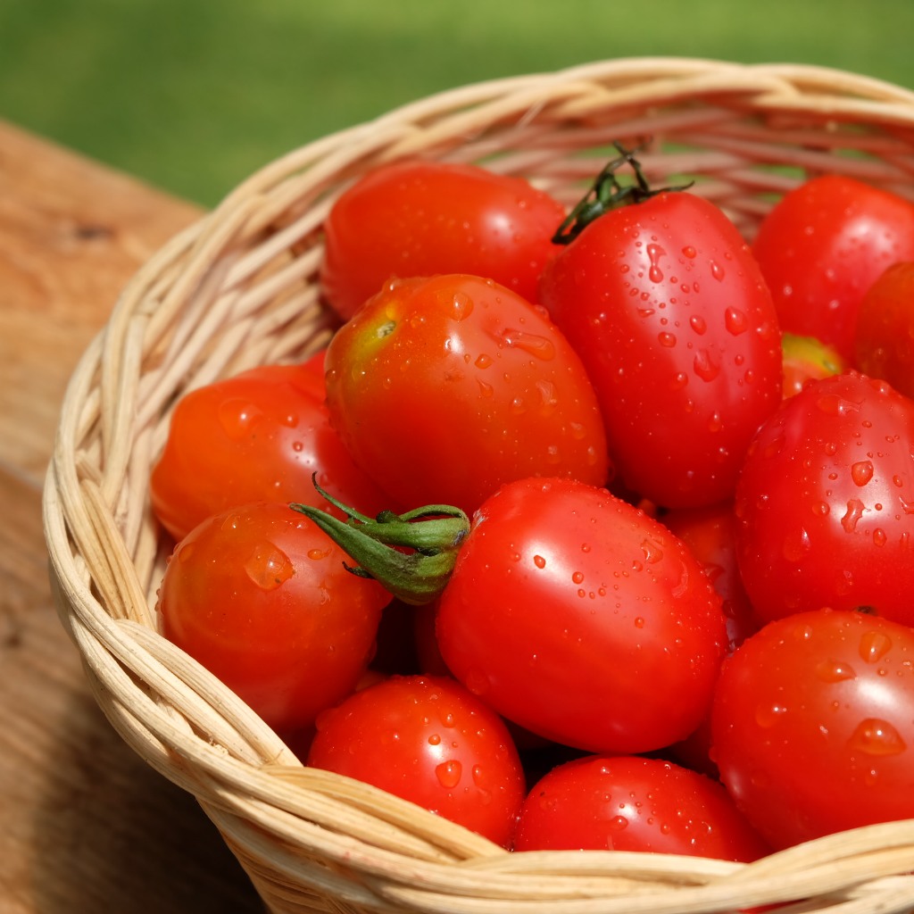 

Veg Fresh Tomato Cherry 200gr