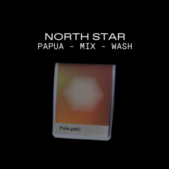 

NORTH STAR | WASH NATURAL HONEY | SPECIALTY COFFEE 100gr/200gr