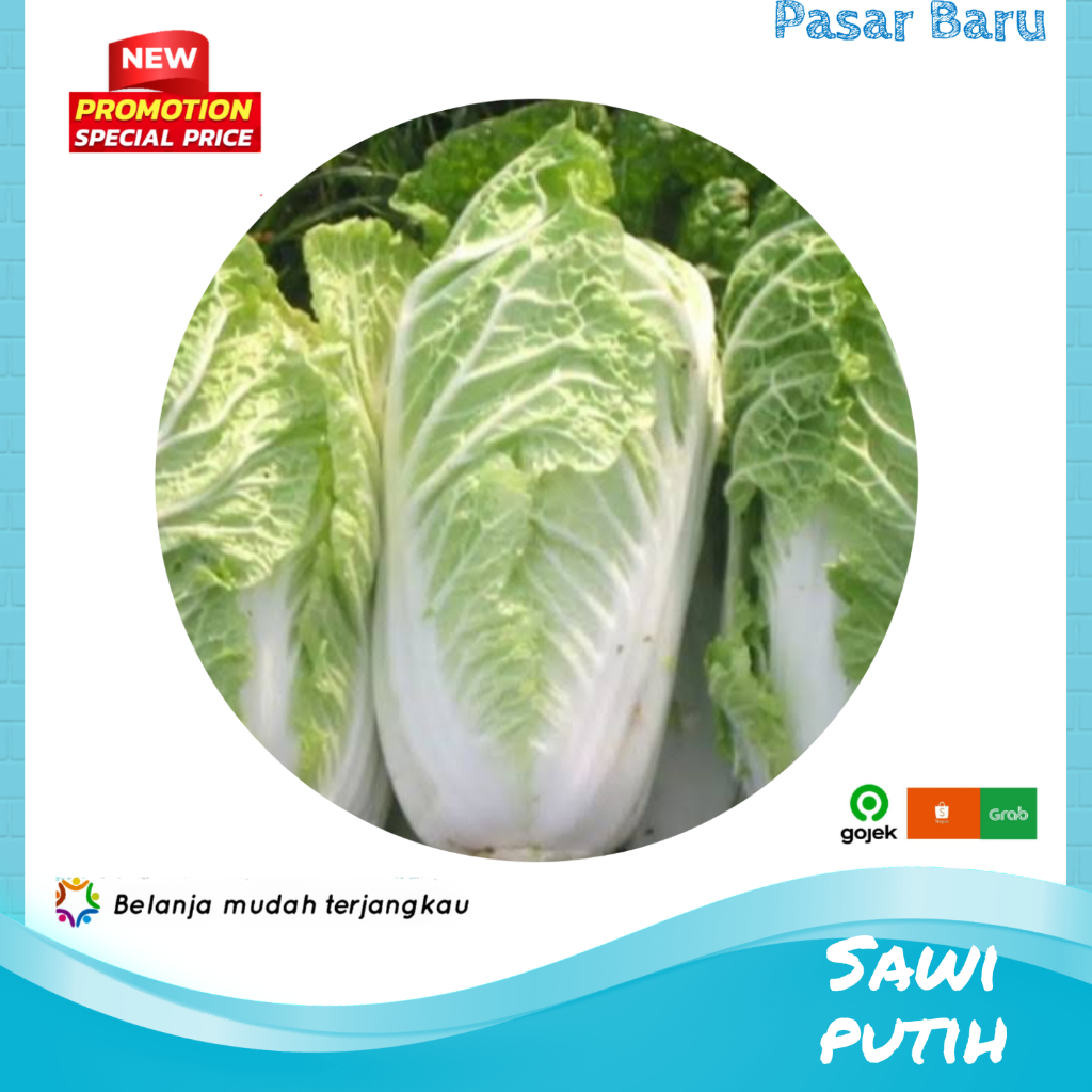 

Sawi Putih • 500gram Murah | Pasar Baru Makassar
