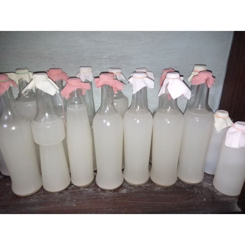 

bibit nata Decoco atau acetobacter xylinium 500ml