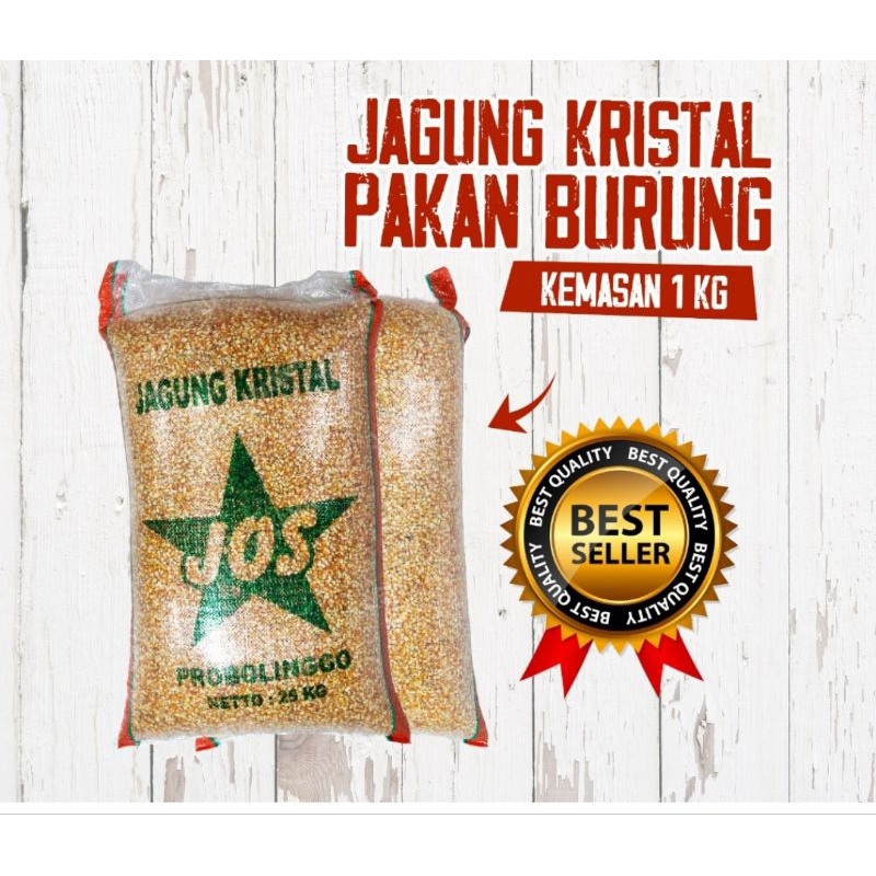 

jagung kristal jos Probolinggo 1 kg