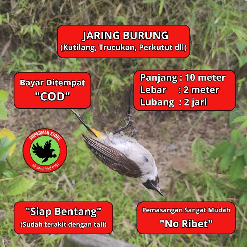 JARING BURUNG KUTILANG10 JARING KUTILANG JARING TILANG JARING GEUNTILANG JARING 2 INCI JARING JARING