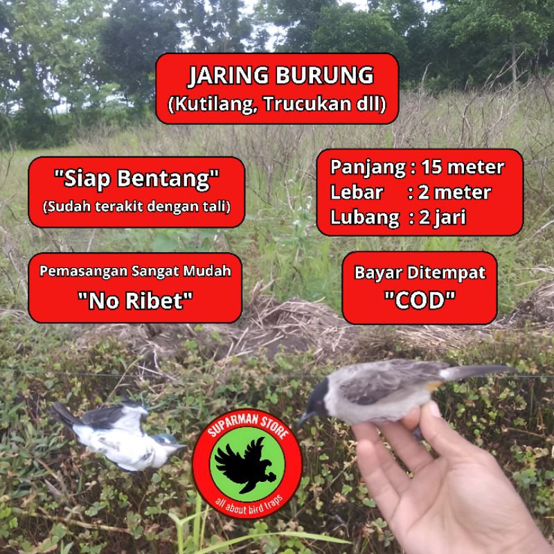 JARING BURUNG 10 JARINGJARING BURUNG KUTILANG 10 JALA PIKAT KUTILANG JALA PUKAT KUTILANG JARING JALA