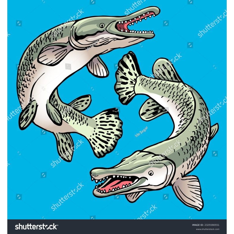 

stiker aligator