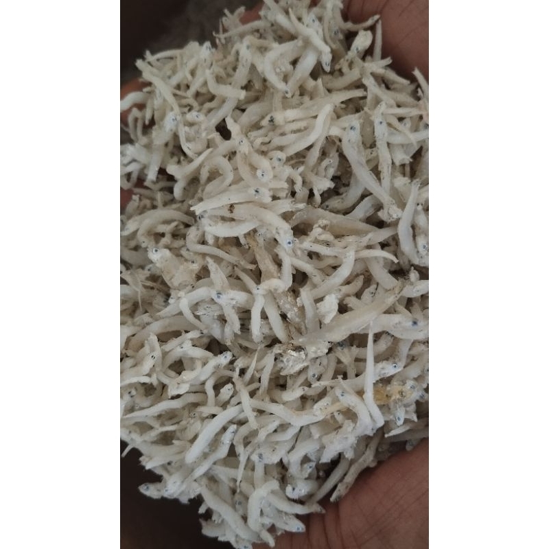 

Teri Nasi Medan
