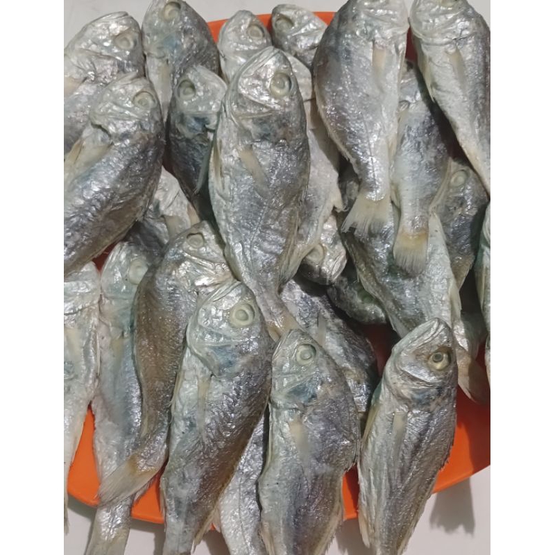 

IKAN GULAMA 500gr dan 1000gr