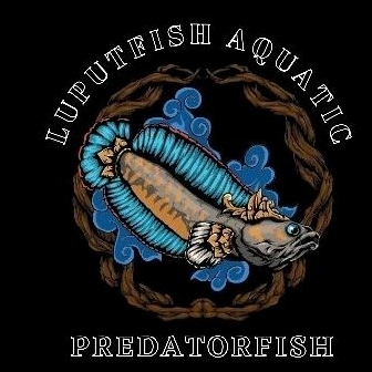 ketapang untuk Chana Andrao Single tank 6-7 cm kualitas