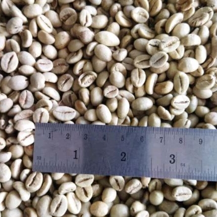 

Green bean robusta blitar 1kg
