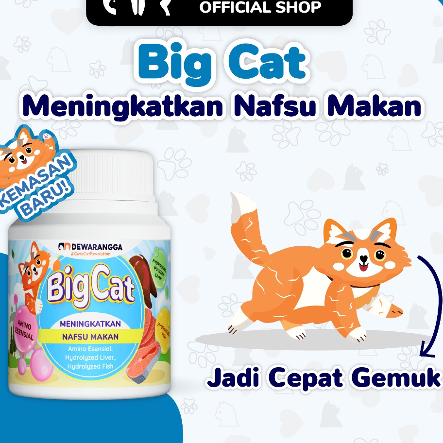 berkualitas Dewarangga Vitamin Kucing BIG CAT untuk Penggemuk dan Penambah Nafsu Makan Kucing