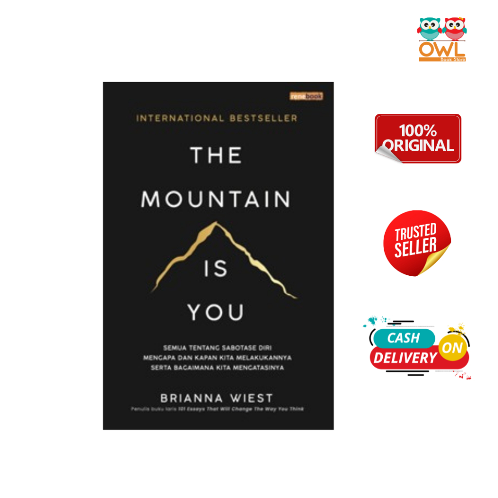 Buku The Mountain Is You - Brianna Wiest