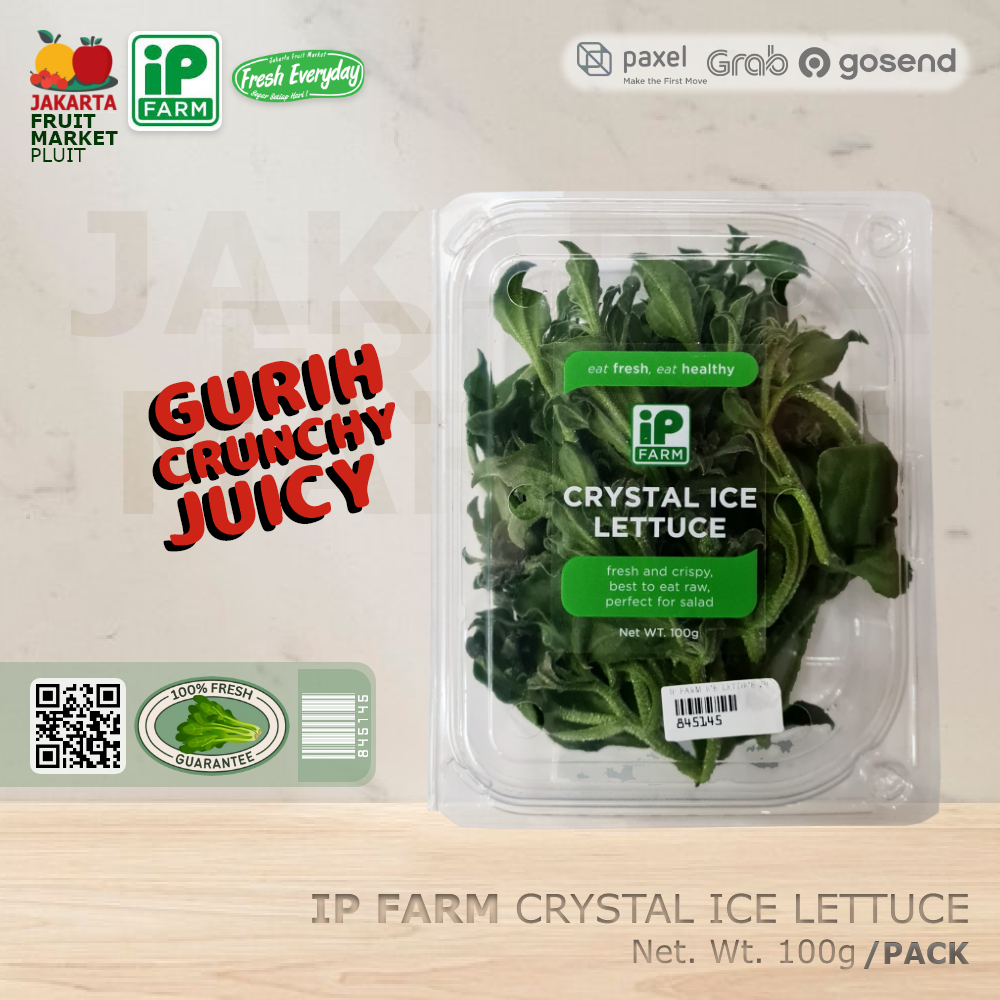 CRYSTAL ICE LETTUCE sayur gurih crispy juicy crystalline