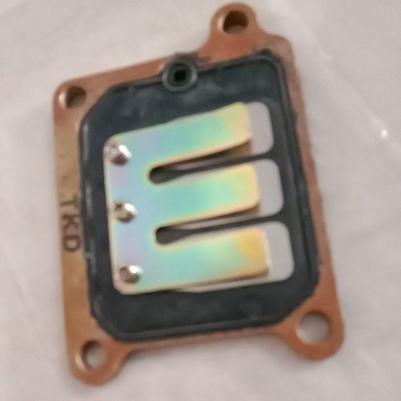 Membran Suzuki RC80 RC100