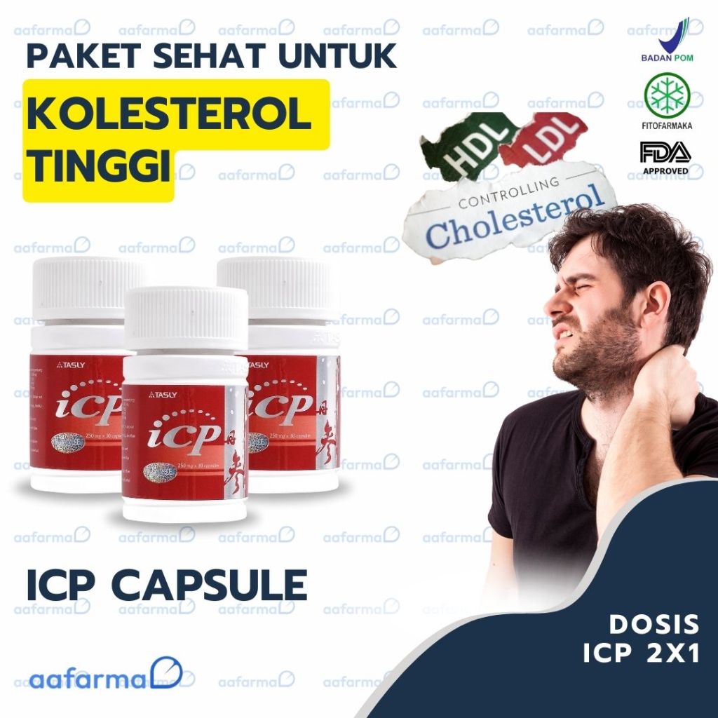 (PAKET SEHAT) KOLESTEROL TINGGI - ICP CAPSULE (1 BOTOL)
