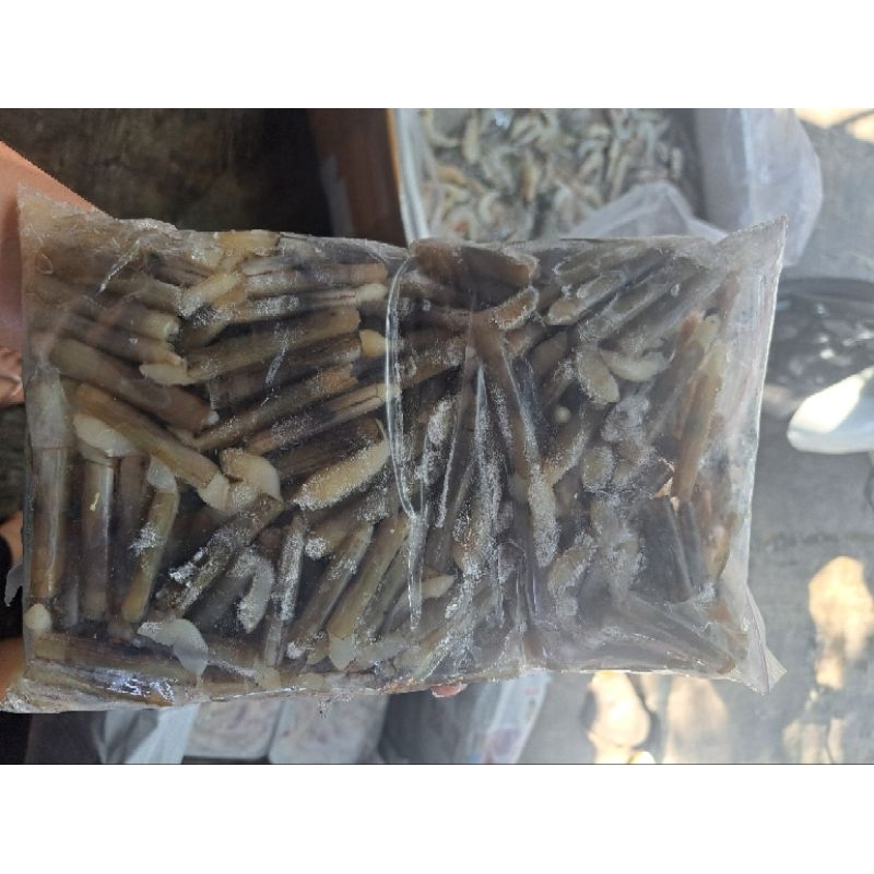 

KERANG BAMBU KECIL FROZEN