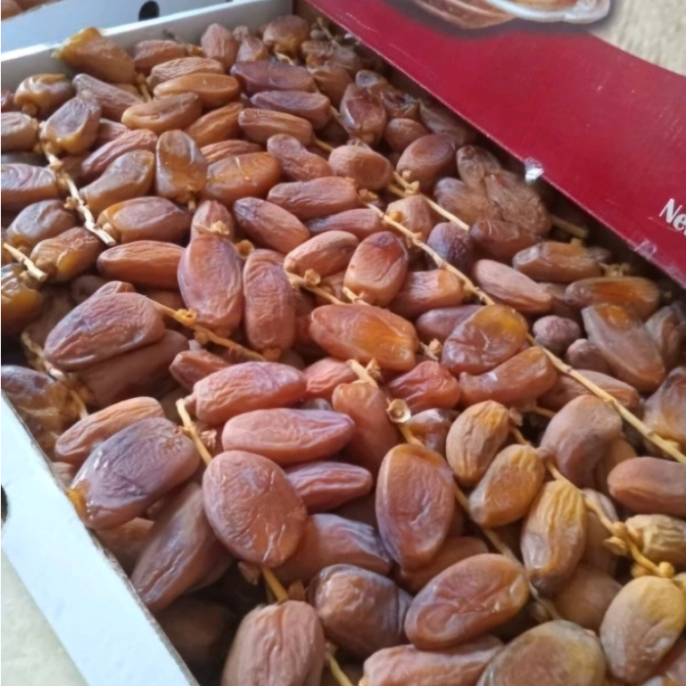 

kurma tunisia tangkai 5 kg