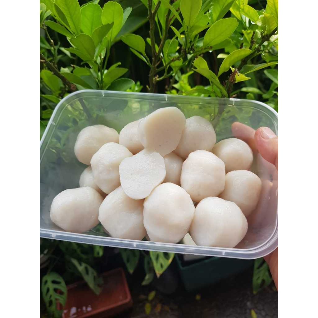 

Homemade Bakso baso ikan BESAR Ekor Kuning fresh