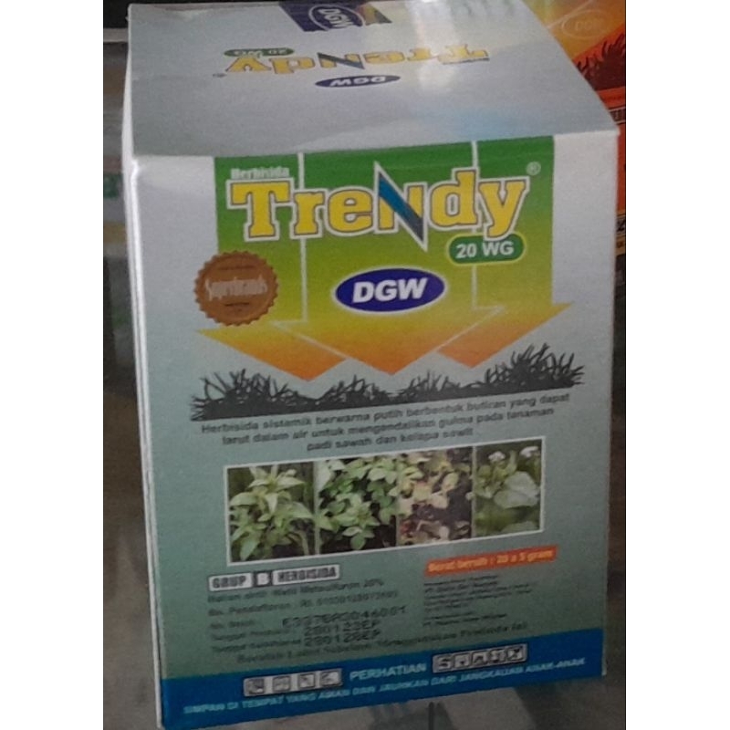 Trendy 20 WG 5 gram