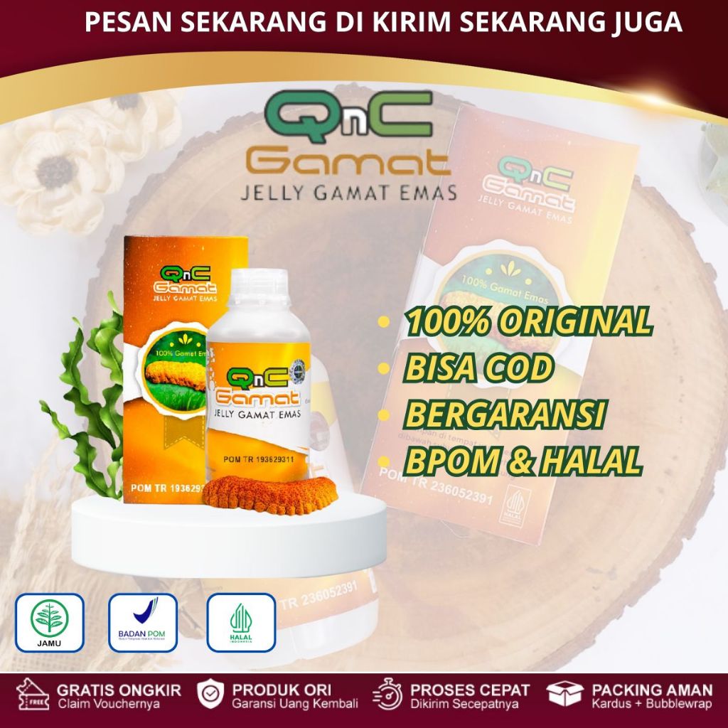 QnC Jelly Gamat Emas Asli 100% Original Dari Ekstrak Teripang Emas Pilihan - Gamat Emas Asli Origina