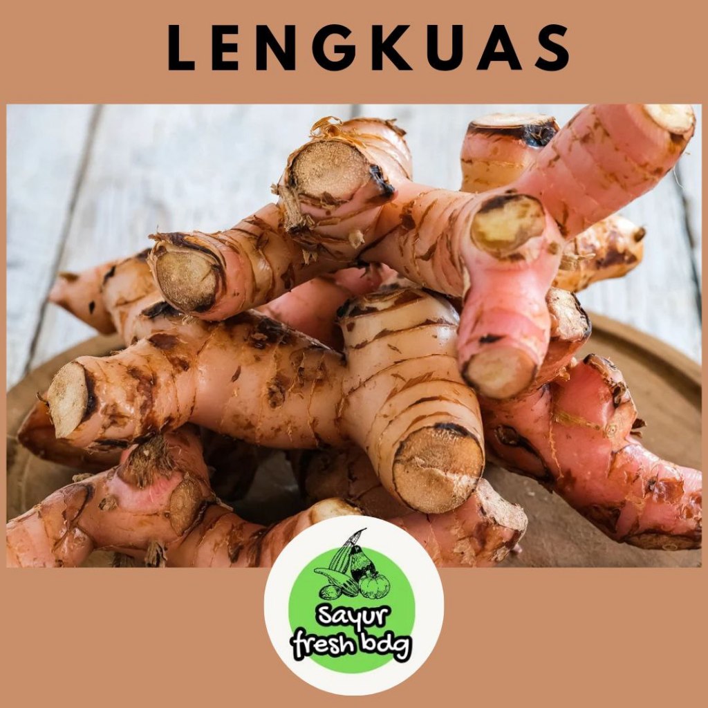 

LENGKUAS / LAJA /rempah - rempah / bumbu dapur