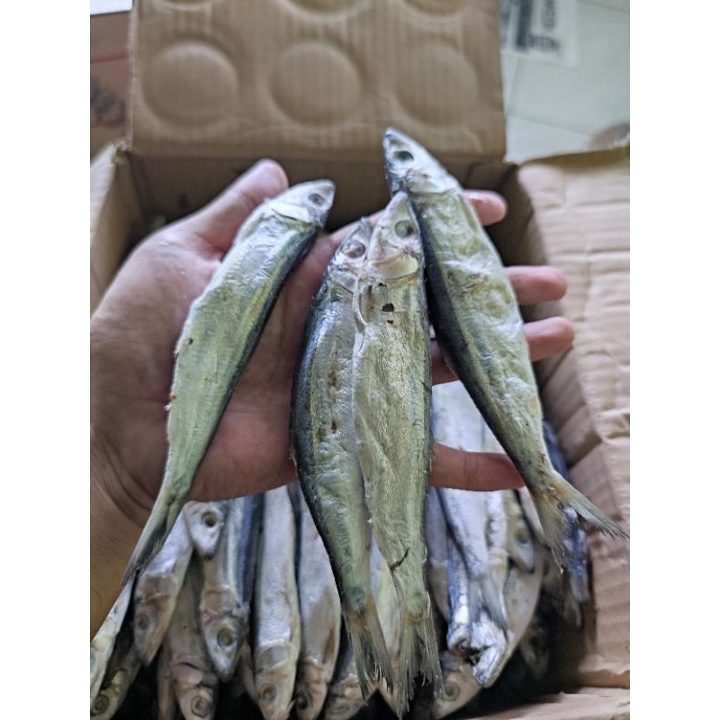 

IKAN ASIN JAPUH SERO 250GR