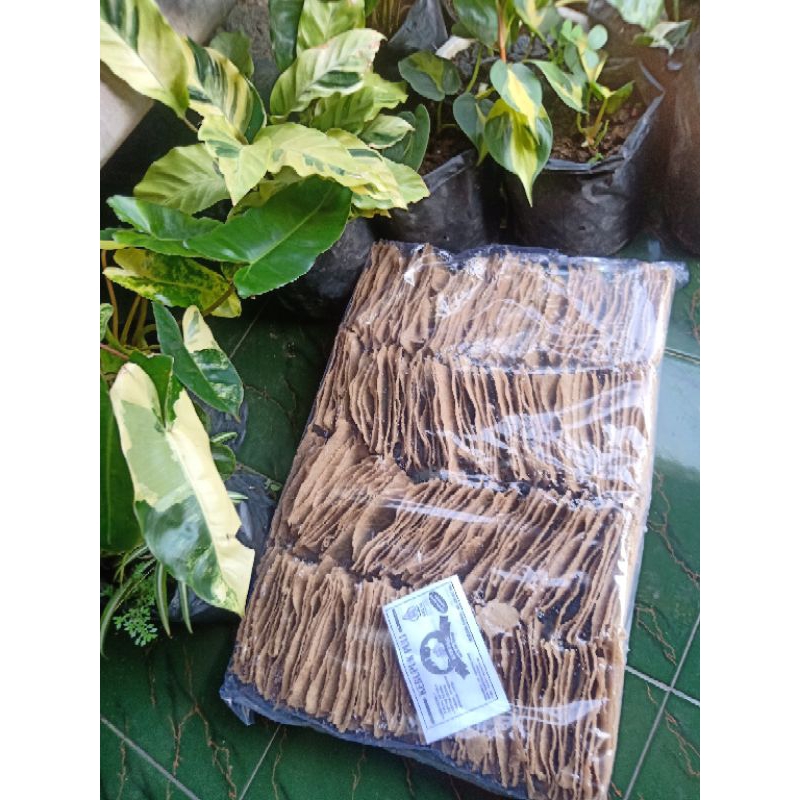 

Kerupuk Puli Mentah Khas Karanganyar