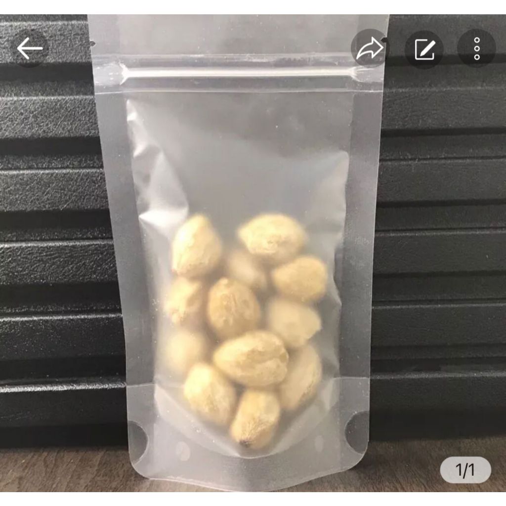 

Candlenut 500gr / Kemiri Utuh 500gr