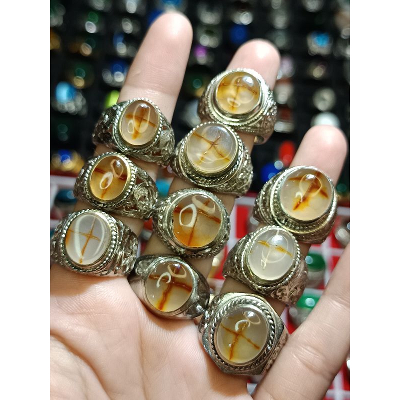 tapak jalak natural alam