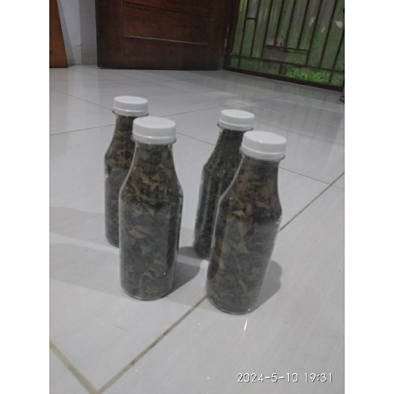 

daun salam koja kering 10 gram