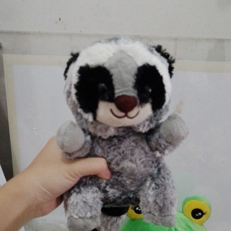 boneka musang hitam