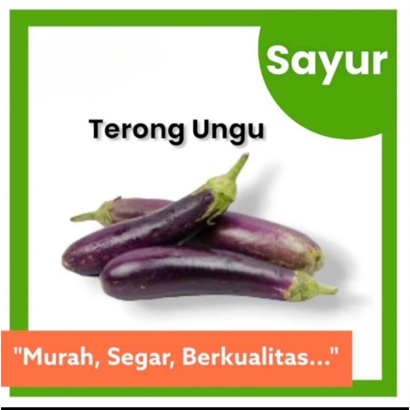 

TERONG UNGU 500 gram--1 kg{ERLANGGA MARKET}