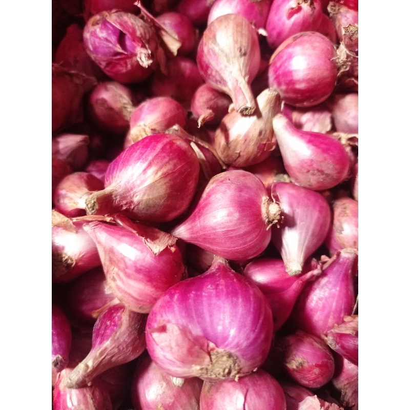 

BAWANG MERAH 1 kg /BAWANG MERAH BREBES/BAWANG PUTIH