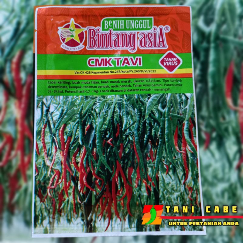 BENIH CABE KERITING CMK TAVI TAHAN VIRUS~10 GRAM