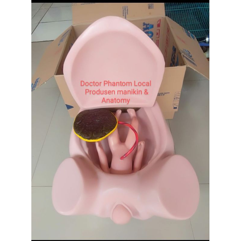 MANEKIN/PHANTOM alat peraga persalinan ibu&bayi