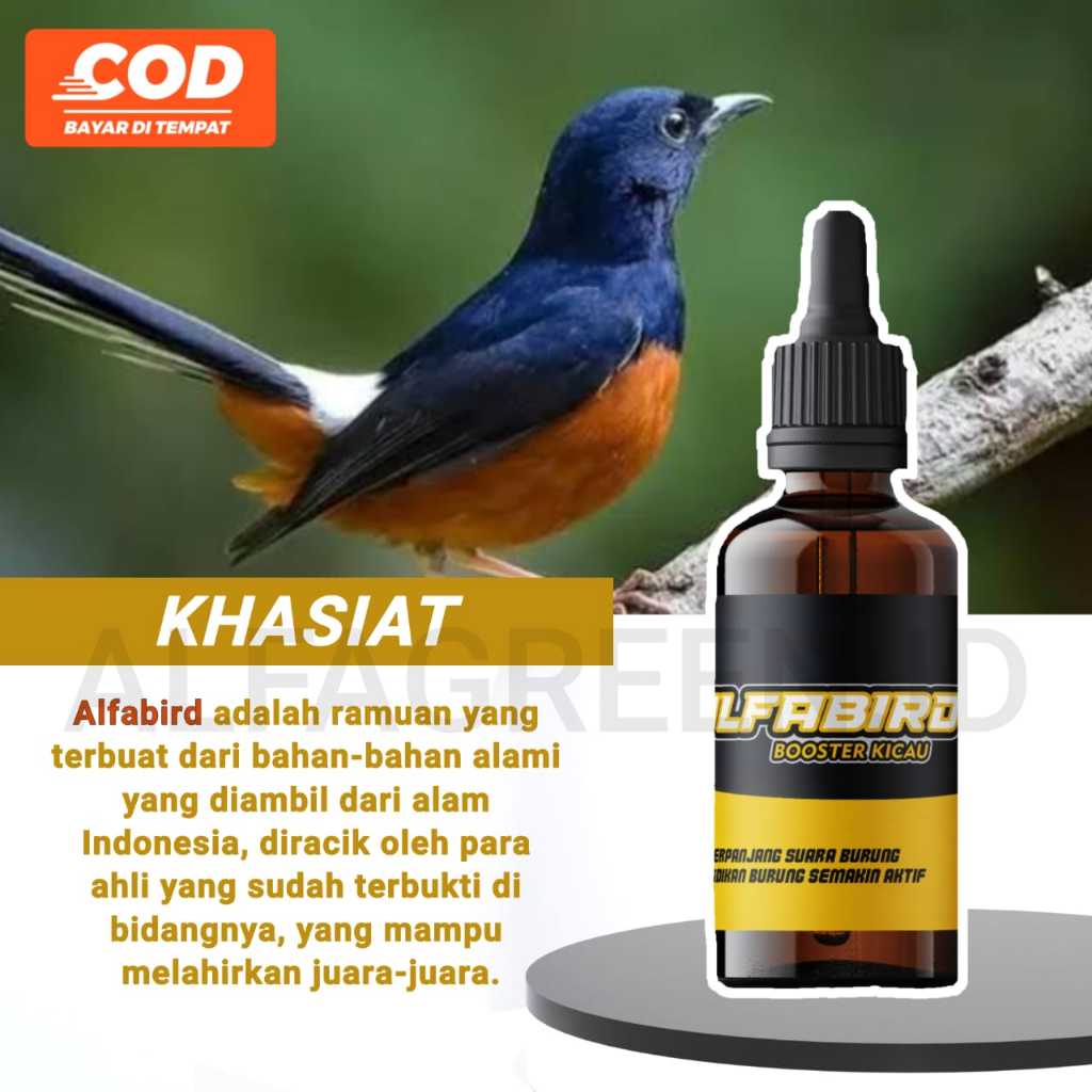 ALFABIRD Extreme Power  Boster Burung Meningkatkan Mental Power Stamina Vitalitas Mental