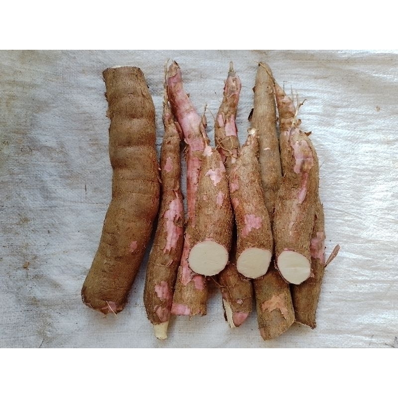 

Singkong Empuk Enak/Singkong Keju/Harga Per500gram