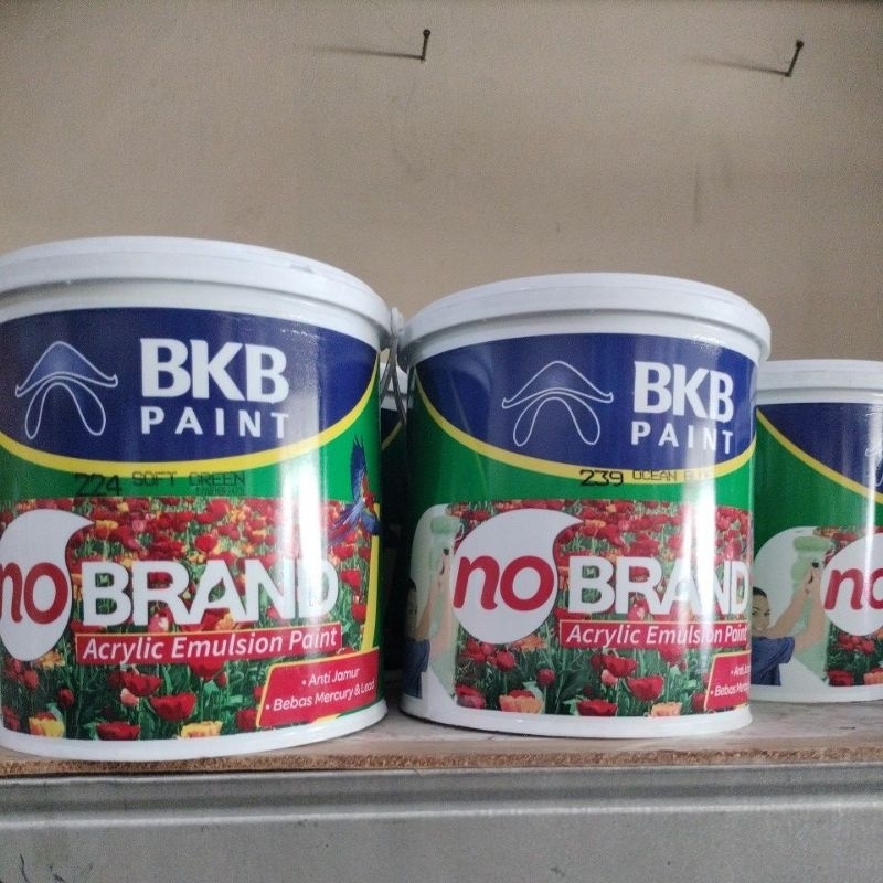 No Brand / Cat Tembok