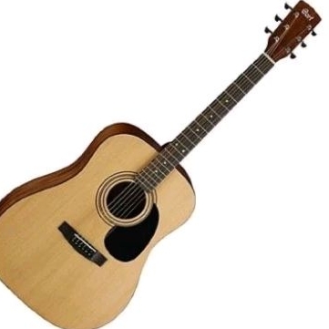 GITAR AKUSTIK CORT AD 810 OP