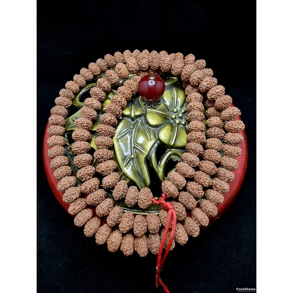 Kalung Tasbih Diamond Bodhi Seed Rudraksha 9 Mukhi Nepal Super 10mm P183