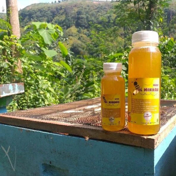 

Madu Murni | Madu Randu Super | Madu RAW