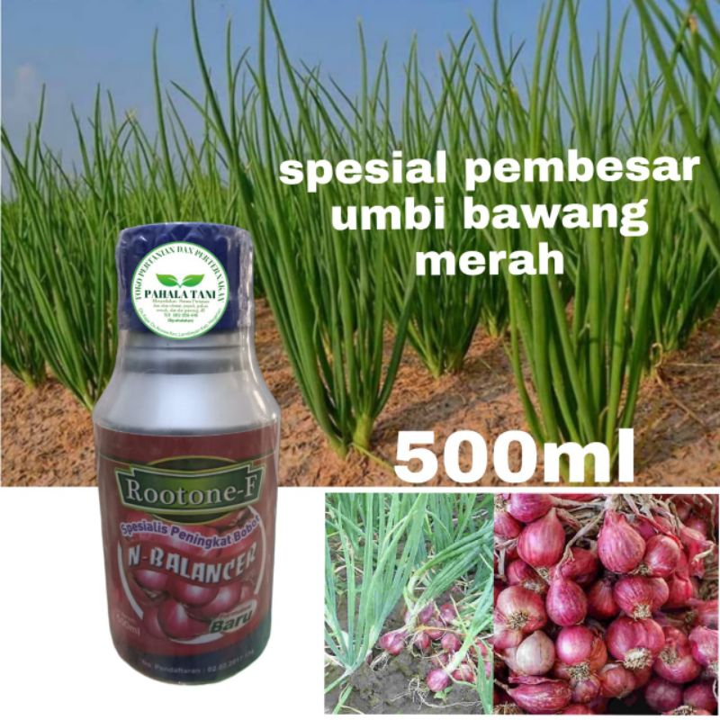 Rootone-F/N-BALANCER/zpt organik/pembesar umbi/peningkat bobot/pembesar umbi bawang