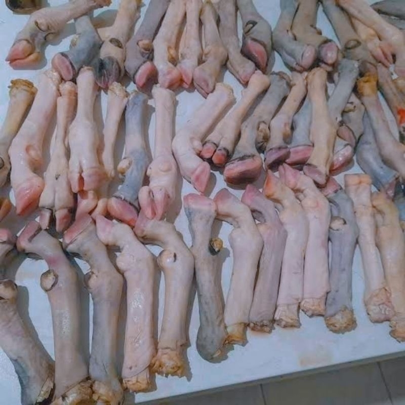 

kaki kambing/domba fresh per/ pcs