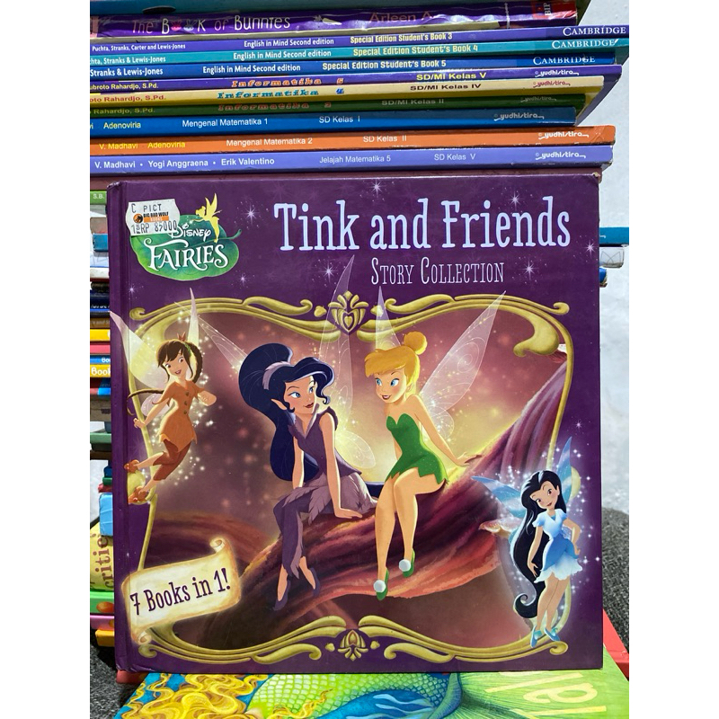TINK AND FRIENDS STORY COLLECTION