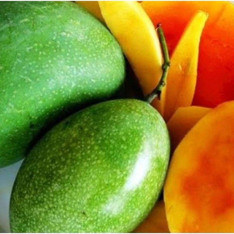 

Mangga Manalagi Potong Manis