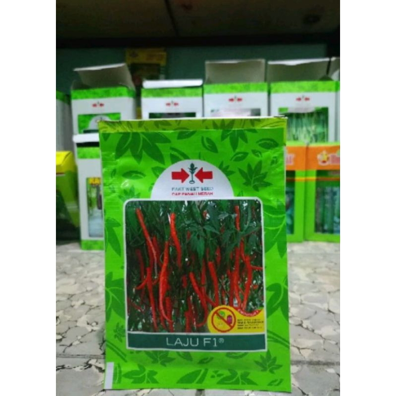 bibit cabai keriting laju F1
