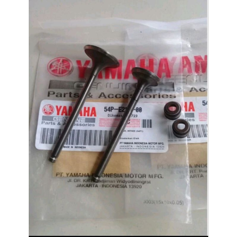 klep + seal klep mio j / mio m3 / soul gt 125 / xride