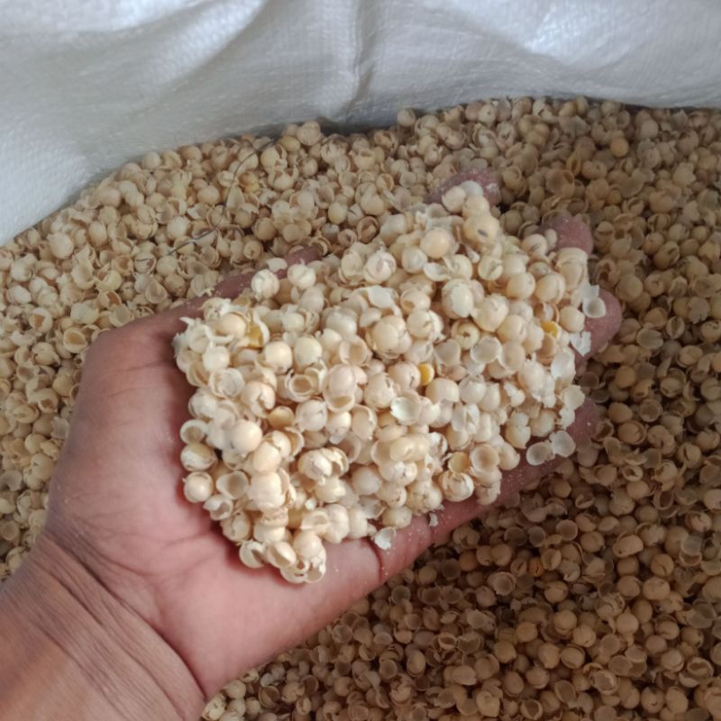 

Pakan Domba,Sapi,kelinci Kulit Ari Kacang Kedelai/ Pleci