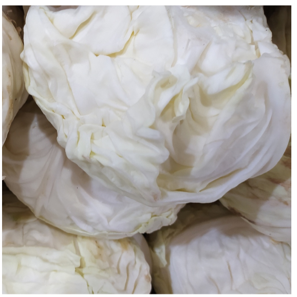 

Sayur Kol Putih Per Potong Kol Segar Kubis Segar Sayur Segar Cikarang
